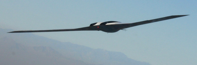 Lockheed Martin P-175 Polecat UAV in flight stealthy stealth unmanned aerial vehicle composite HALE high altitude ISR reconnaissance surveillance