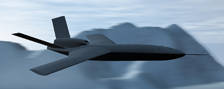 Alenia Sky-X UCAV UCAS concept demonstrator unmanned stelathy